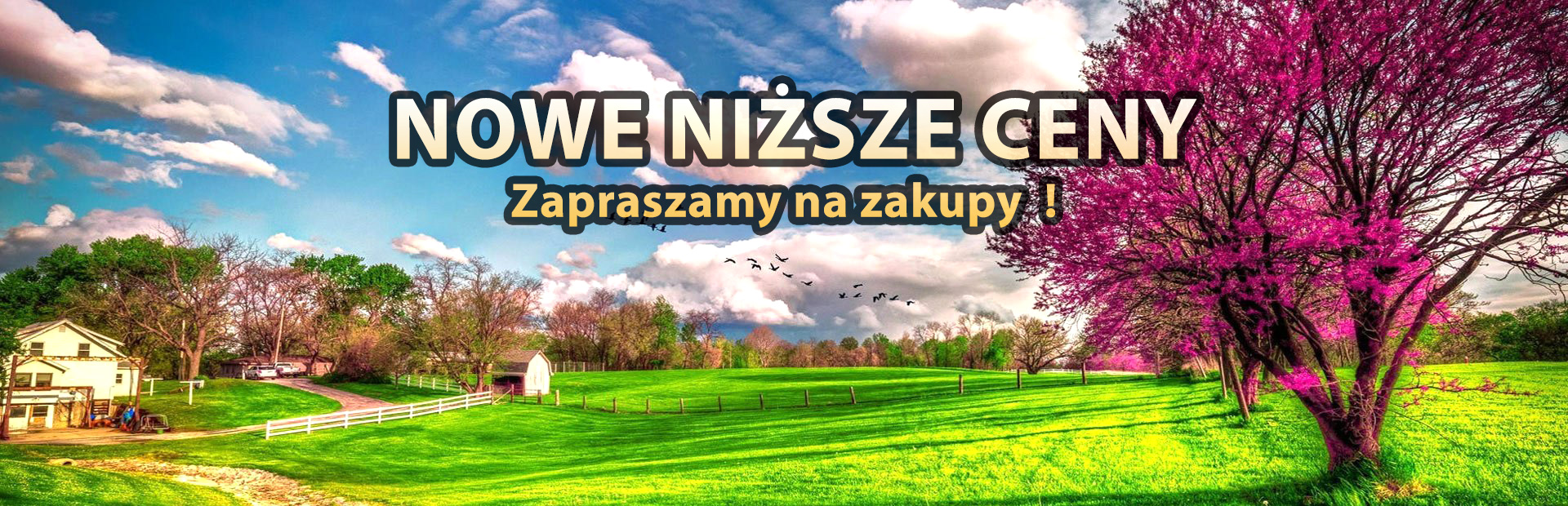 2026 Nowe niższe ceny